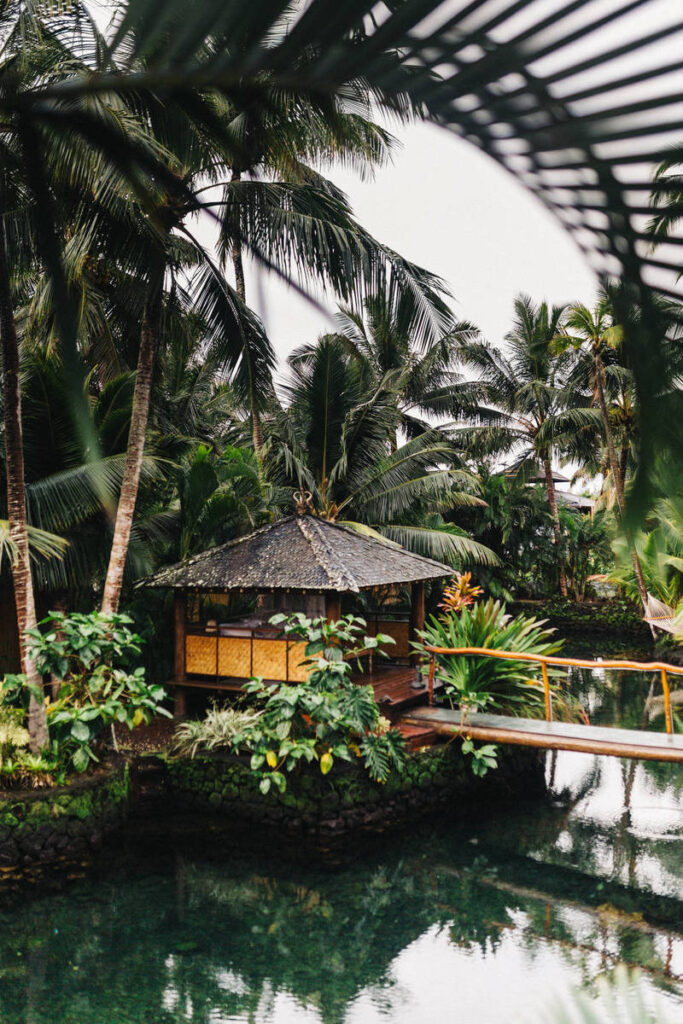 42996726655 0df7830ab6 b